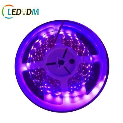 CE RoHS Certification New UV Led Strip 400nm Purple 3528 Lighting Led DC12/24V