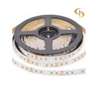 2020 Classic CCT LED strips dual colors 24V for indoor decoration